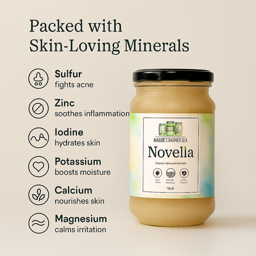 Novella™ Sea Moss Gel